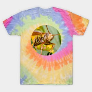 Paper Wasp Macro Photograph T-Shirt